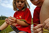 girls observing caterpillar, insect, boardwalk, high moor, Harz Mountains, Lower Saxony, northern Germany