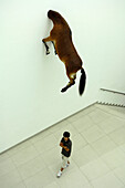 Kunstwerk von Maurizio Cattelan, Ausstellung Blue Chips & Masterpieces, Museum für moderne Kunst MMK, Frankfurt, Hessen, Deutschland