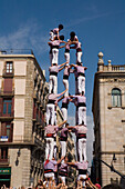Castellers, human tower, Festa de la Merce, city festival, September, Placa de Sant Jaume, Barri Gotic, Ciutat Vella, Barcelona, Spanien