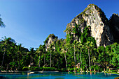 Bungalows in tropical garden of Hotel Rayavadee with limestone cliff, Hat Phra Nang, Krabi, Thailand