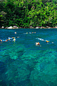 Schnorchler, Leute beim Schnorkeln im Wasser vor Ko Surin Noi, Surin Islands Marine Nationalpark, Ko Surin, Phang Nga, Thailand