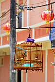 A bird in a bird cage in the old town, Phuket City, Thailand
