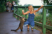 Eine Frau, Touristin füttert einen Nasenbär, Touristen, Iguassu Wasserfälle, Brasilien