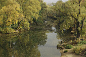 Angler on a Danube river's branch, Regensburg, Upper Palatinate, Bavaria, Germany