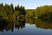 Pond near Telc, Czech Republic