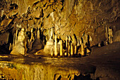 Masarykgrotte, Punkvahöhle, Moravsky Kras, Blansko, Tschechien