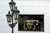 Decoration at a house in Brno, Brünn, Czech Republic