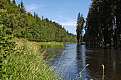 Moldau südlich von Krumau, Tschechien