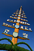 Maypole, Petting, lake Waginger See, Rupertiwinkel, Upper Bavaria, Bavaria, Germany