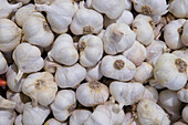 Garlic Cloves in Central Market Hall, Pest, Budapest, Hungary