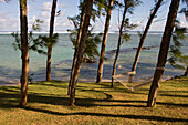 Hängematte unter Bäumen im Mövenpick Resort und Spa Mauritius, Bel Ombre, Savanne District, Mauritius, Indischer Ozean