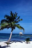 Hotel Beach, San Pedro, Ambergris Caye, Belize