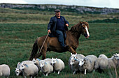 Shepherd on horseback, Brecon Beacon National Park, Powys, Wales, Great Britain