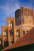 Giebelhaus und Wasserturm, Lüneburg, Niedersachsen, Deutschland
