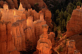 Thor s Hammer. Bryce Canyon National Park. Utah. USA