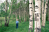 A lone hiker pauses near aspen trees. Lewis and Clark Pass. Montana. USA.