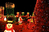 Christmas lights. Delaware. USA