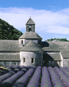 Lavender fields. Abbaye Notre-Dame de Senanque. Provence. France