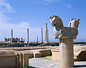 Persepolis. Fars. Iran