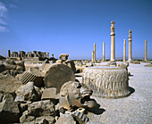 Apadana (columned hall). Persepolis. Iran