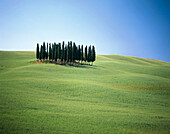 Landscape in Toscana region. Italy
