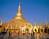 Shwedagon pagoda. Yangoon. Myanmar