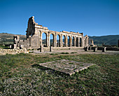 The Basilica, Roman ruins of Volubilis. Morocco