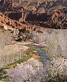 Kasbah, Dades Valley, High Atlas mountains. Morocco