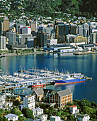 Wellington. North Island, New Zealand