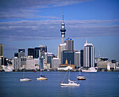 Auckland. North Island, New Zealand