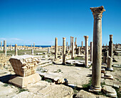 Liber Pater temple, Roman ruins of the ancient city of Sabratha. Libya