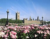 Houses of Parliament, London. England, UK.