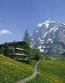 Grindelwald Valley. Berner Alps. Switzerland