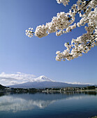 Lake Kawaguchi in Fuji Go-Ko. Fuji Mountain in the background. Japan