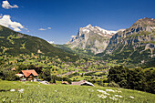 Grindelwald District. Switzerland.