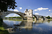 The Bridge of Avignon (W.H.). Avignon. France