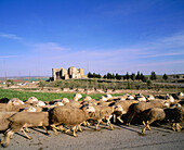 Belmonte Castle. Cuenca province. Spain