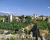 Alhambra and Sierra Nevada mountains in background. Granada. Spain
