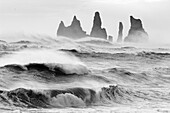 Felszacken im stürmischen Meer, Süd-Island