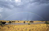 Rainbow and storm sky, Kgalagadi Transfrontier Park, South Africa