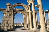 Greco-Roman city. Palmyra. Syria