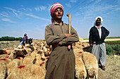 Sheperds with sheep. Syria.