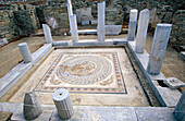 Mosaic in House of Dophins . Delos. Cyclades Islands. Greece
