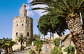Torre del oro. Sevilla. Andalucia. Spain