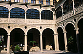 Interior courtyard. Palacio de los Guzmanes (seat of the Diputacion Provincial de Leon). Leon. Castilla-Leon. Spain