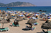 Des Figueral Beach. Ibiza. Balearic Islands. Spain.