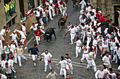 Running of the bulls. San Fermin. Pamplona. Navarre. Spain