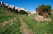 Ascention to Pas dels Gosolans (2430mts). Pic de Costa Cabirolera. Sierra del Cadí. Cadí-Moixeró Natural Park. La Cerdanya. Girona Province. Catalonia. Spain