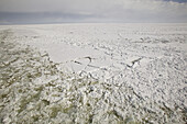 Ice. Iced Baltic Sea. Finland