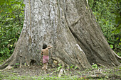 Child next to a big amazon tree. Amazonas. Peru.